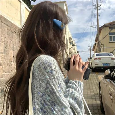 警视厅搜查一课长 新特别篇